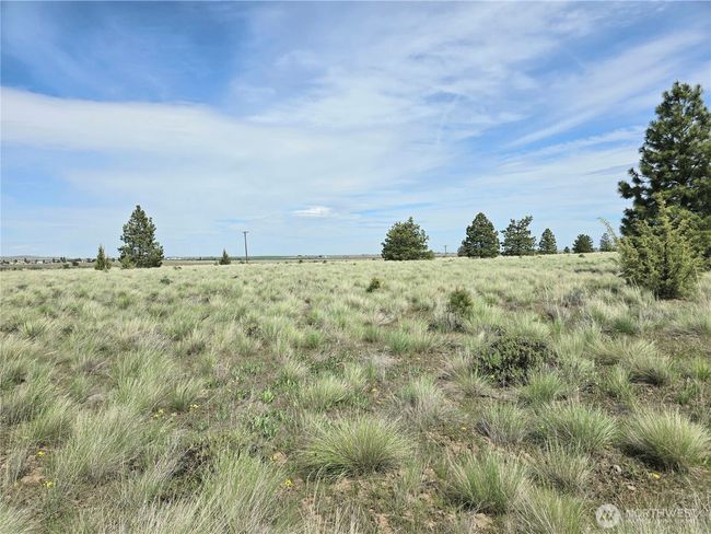 226 Duree Rd, Home with 0 bedrooms, 0 bathrooms and null parking in Bickleton WA | Image 14