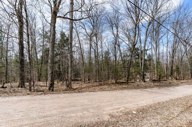 0 Bird Lake Rd, Home with 0 bedrooms, 0 bathrooms and null parking in Bracebridge ON | Image 26