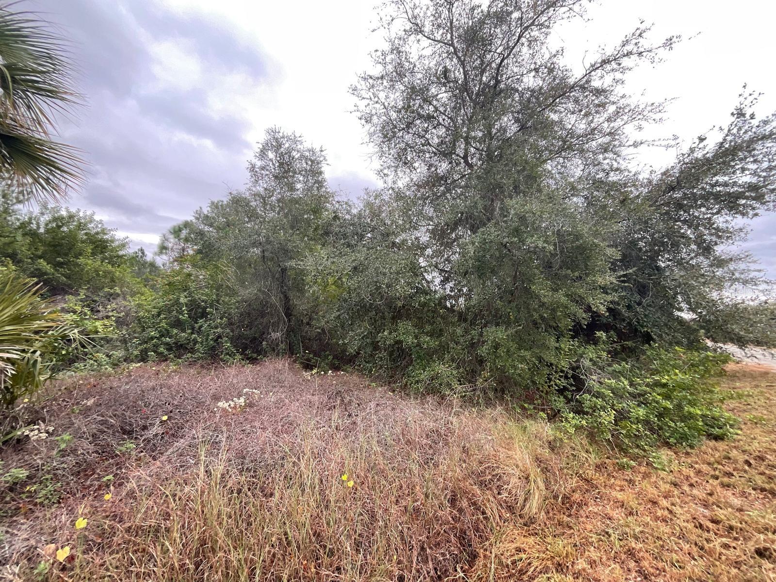 Land in LEHIGH ACRES 3