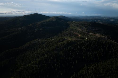 Lot 17 Deer Mountain Road, Lead, SD, 57754 | Card Image