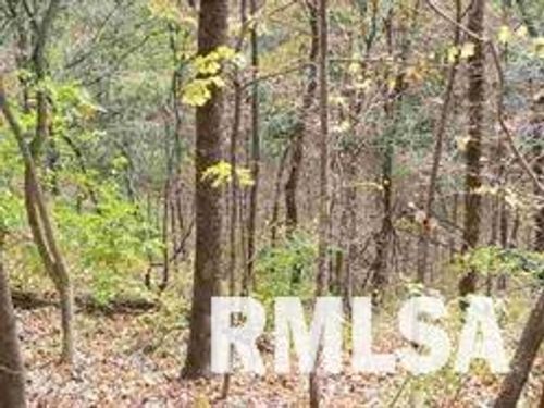 123 Wampam Ct, Hopewell, IL, 61565-9413 | Card Image