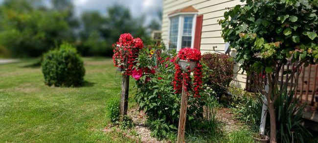 4035 S Plain Rd, House other with 3 bedrooms, 2 bathrooms and null parking in Kingston MI | Image 28