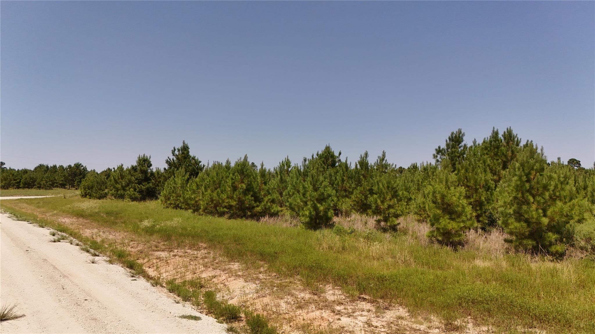 Land in Lovelady 5