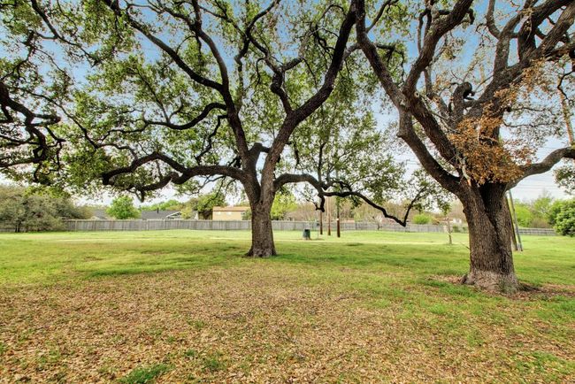 Lots of Green Space | Image 33