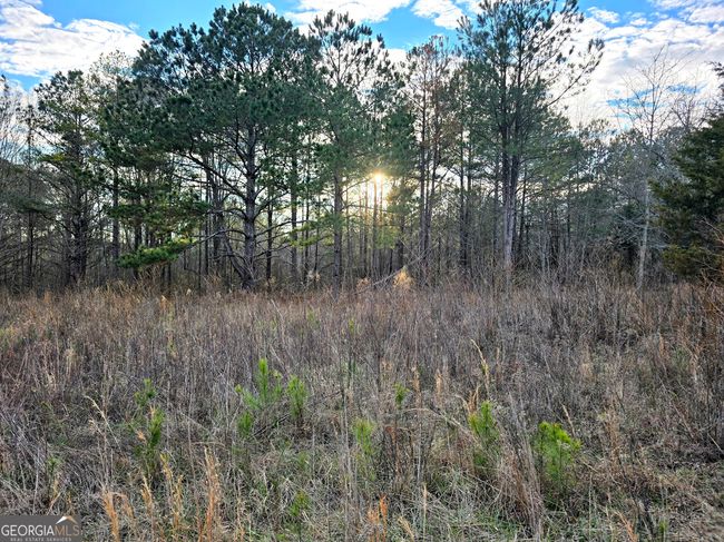 0 Willow St, Home with 0 bedrooms, 0 bathrooms and null parking in Stephens GA | Image 23