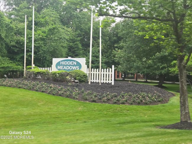 Make Hidden Meadows your next stop, you won't be disappointed. | Image 37
