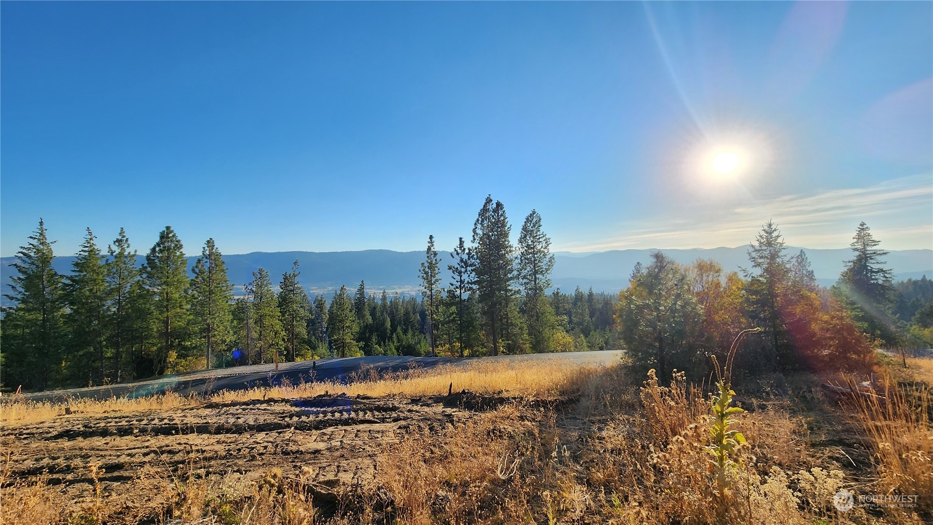 16 Forest Ridge Drive, For Sale in Cle Elum Zoocasa