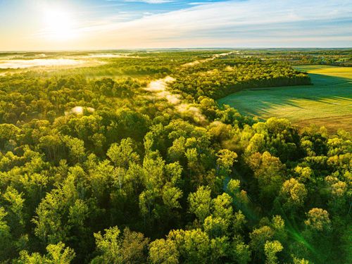 280 Fields Rd, Dukedom, TN, 38226 | Card Image