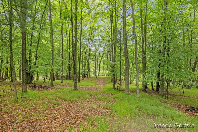 3948 N Holland Rd, House other with 4 bedrooms, 5 bathrooms and null parking in Stanton MI | Image 80