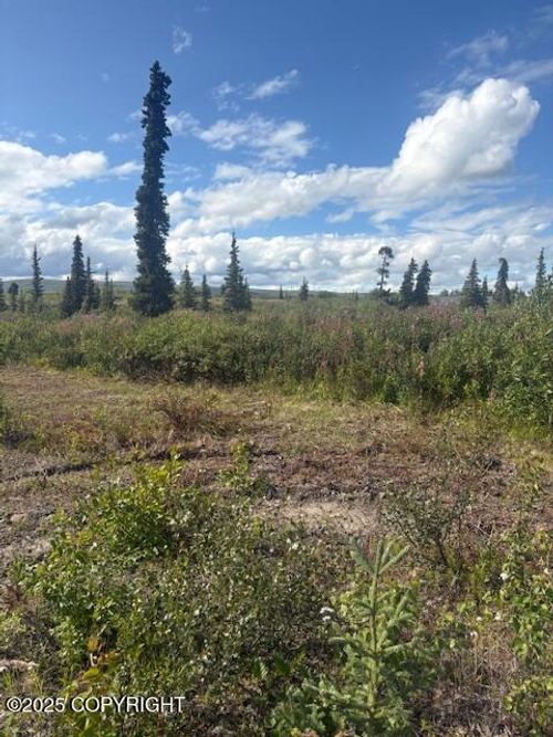 51384 S Summit Loop, Chickaloon, AK, 99674 | Card Image