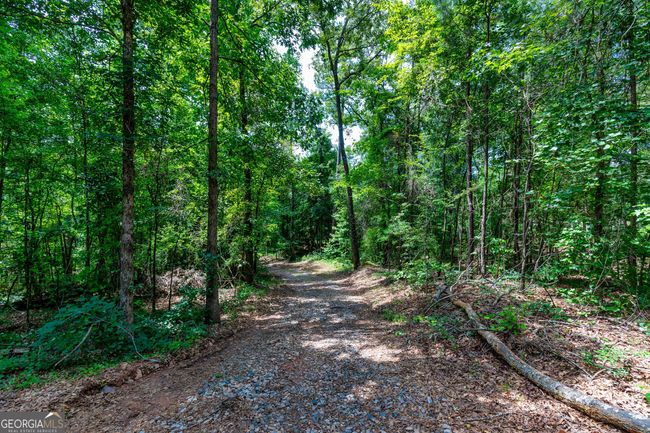 0 John Lovelace Rd, Home with 0 bedrooms, 0 bathrooms and null parking in LAGRANGE GA | Image 18