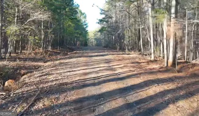 0 Lower Glass Bridge Rd, Home with 0 bedrooms, 0 bathrooms and null parking in Lagrange GA | Image 7