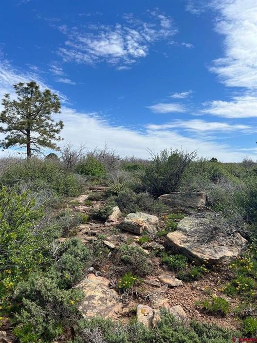 Lot 30 County Road E, Dove Creek, CO, 81324 | Card Image