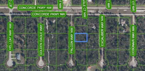 206 Falcon Way Nw, Lake Placid, FL, 33852 | Card Image