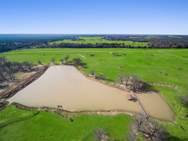Steel bridge across pond | Image 9