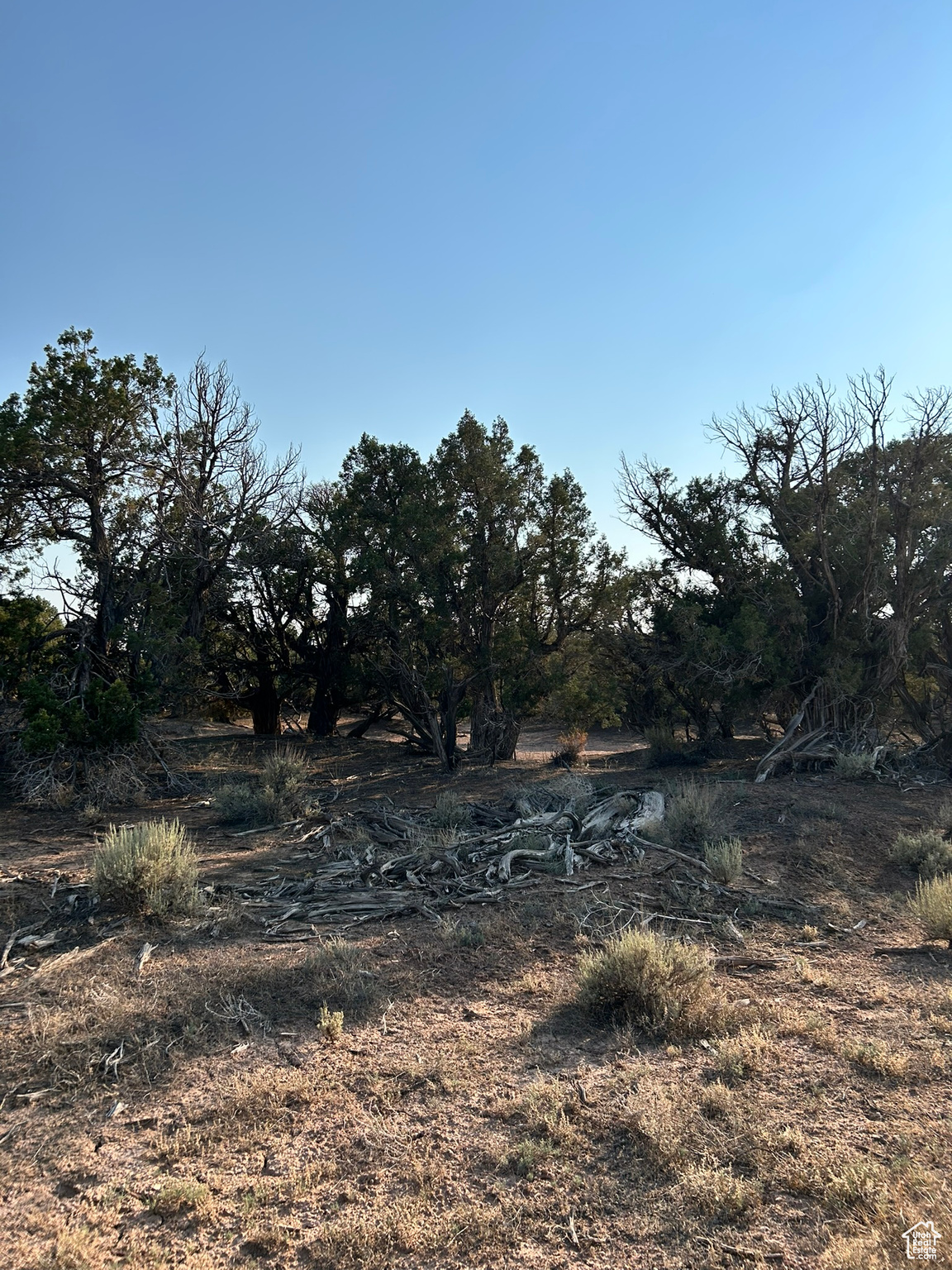Land in Duchesne 3