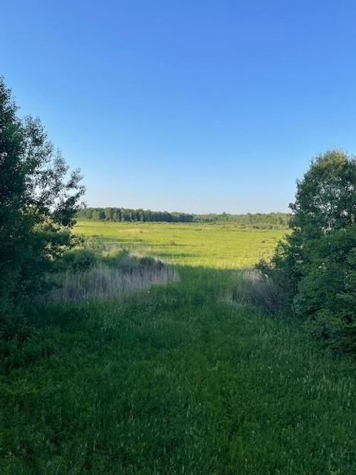 TBD Basswood Rd, Cushing, MN, 56443 | Card Image