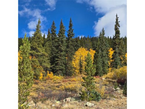 5347 Monitor Lode Claims, Leadville, CO, 80461 | Card Image