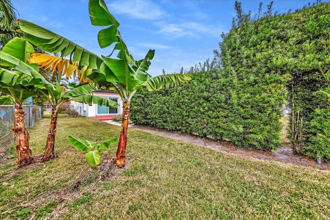 Back Yard with room for Additional Parking via Alley Access | Image 41