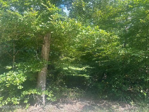 233 Mount View Estates Ln, Holladay, TN, 38341-3253 | Card Image