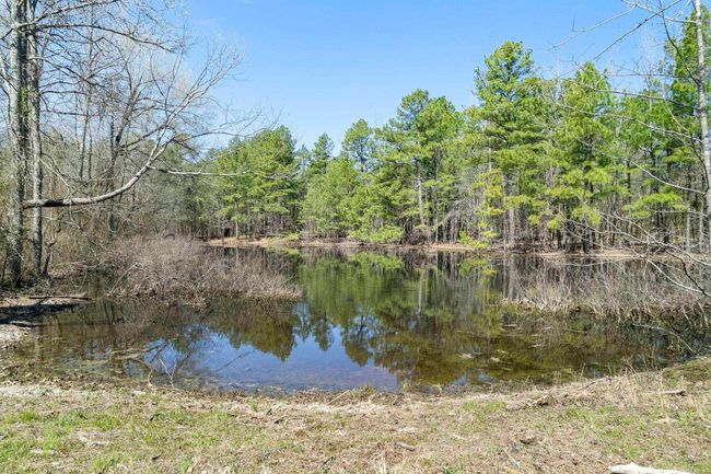 12700 Cabin Creek Loop, House other with 4 bedrooms, 3 bathrooms and null parking in Lonsdale AR | Image 47