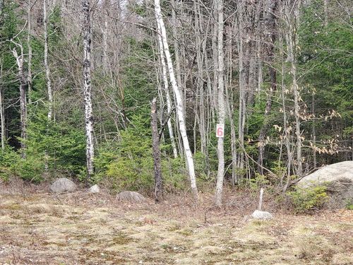 6 Daigneau Trl, Vermontville, NY, 12989 | Card Image
