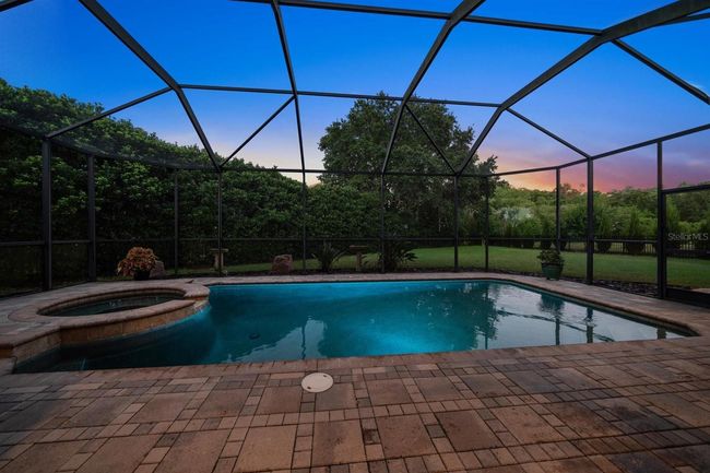 667 Richmond Close, House other with 5 bedrooms, 7 bathrooms and null parking in TARPON SPRINGS FL | Image 64