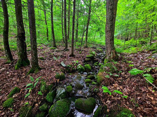 873 Royston Rdg, House other with 2 bedrooms, 0 bathrooms and null parking in Wells River VT | Image 18