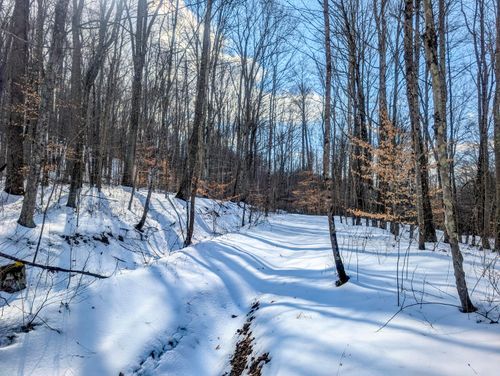 0 Tract 15 Peaker Run Rd, Macksburg, OH, 45746 | Card Image