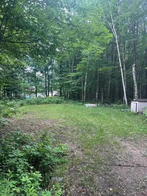 Lots 64 & 65 Todd Drive, Mills Township, MI, 48756 | Card Image