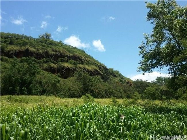 Perfect farming land- Perfect land for farming, grazing your horses, sheep, cattle or other. Alluvial soils with an annual stream next door. | Image 17