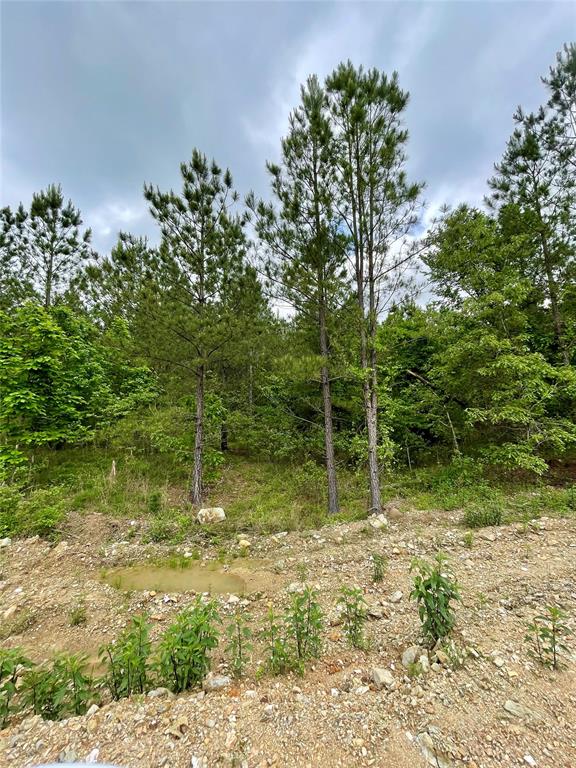 Land in Broken Bow 3