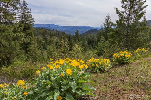b-0 E Leavenworth Rd, Leavenworth, WA, 98826 | Card Image