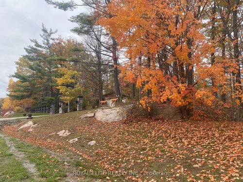 2943 County Rd 36, Buckhorn, ON, K0L1J0 | Card Image