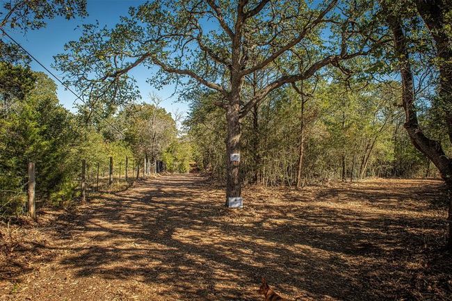 88C - 510 Thousand Oaks Dr, Home with 0 bedrooms, 0 bathrooms and null parking in Cedar Creek TX | Image 5