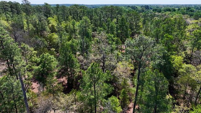 5611 S Us Highway 77, Home with 0 bedrooms, 0 bathrooms and null parking in Warda TX | Image 12