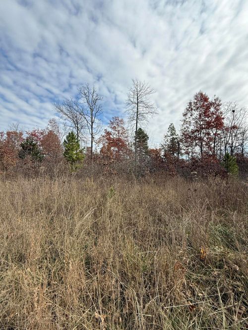 000 Old Tram Rd, Winona, MO, 65588 | Card Image