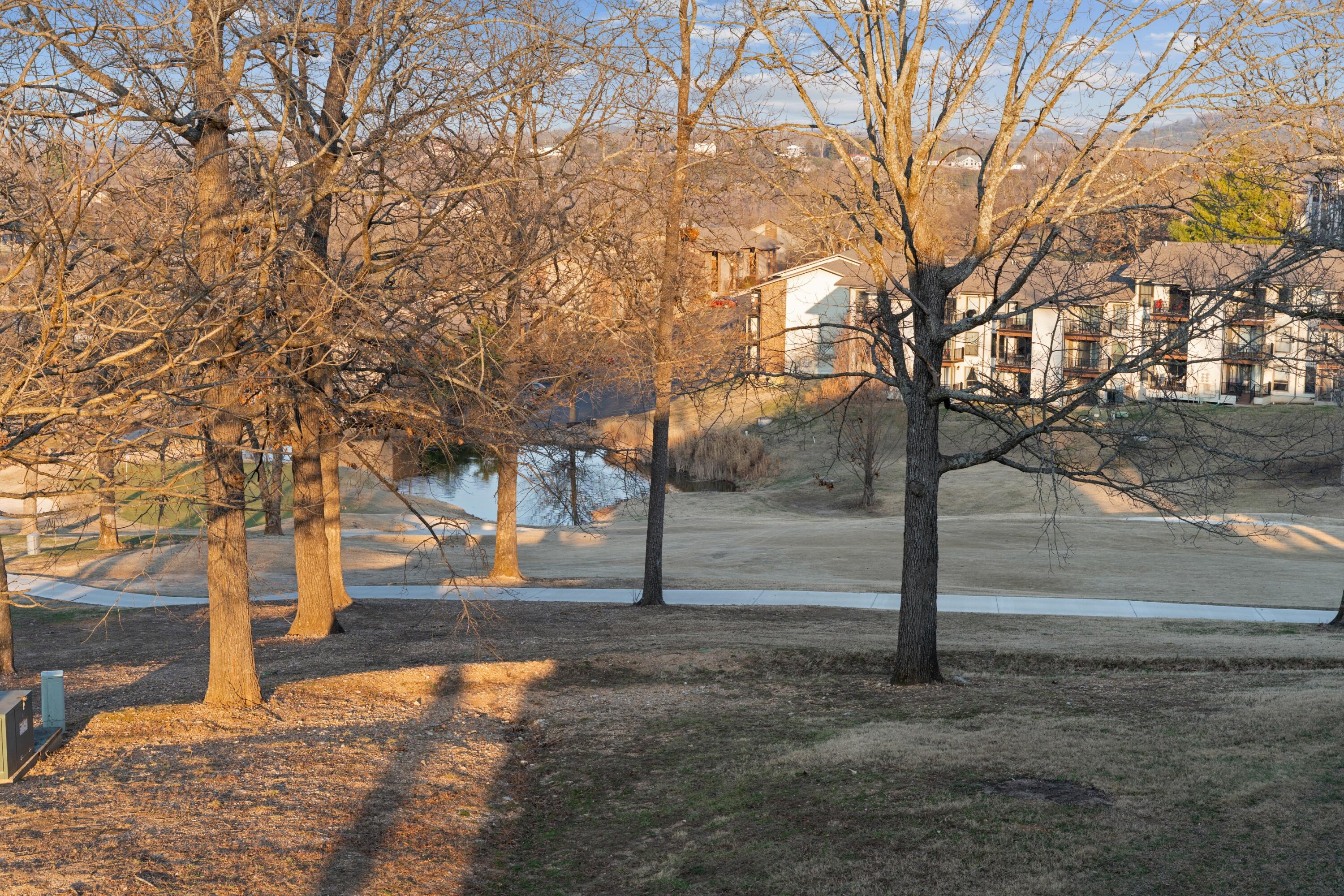 Residential in Branson