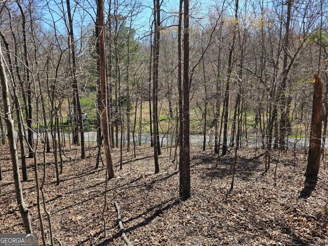 TRACT-4 - 0 Prior Station Rd, Home with 0 bedrooms, 0 bathrooms and null parking in Cedartown GA | Image 6