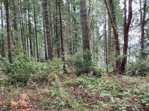 0 Elk St, Shelton, WA, 98584 | Card Image