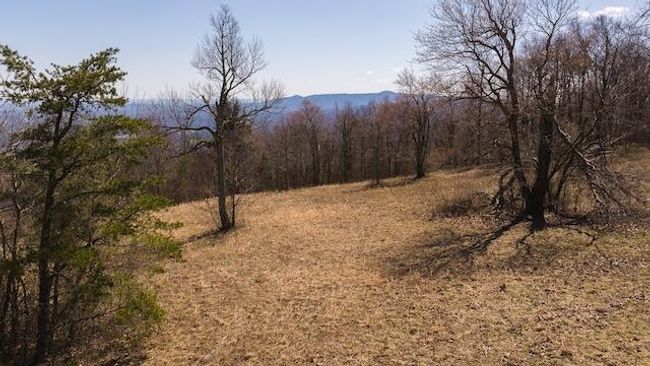 DJI_20250327122041_0759_D | Image 16