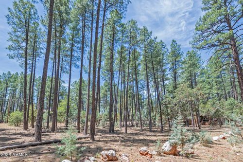 138-lot 138 Marcy Way, Pine, AZ, 85544 | Card Image