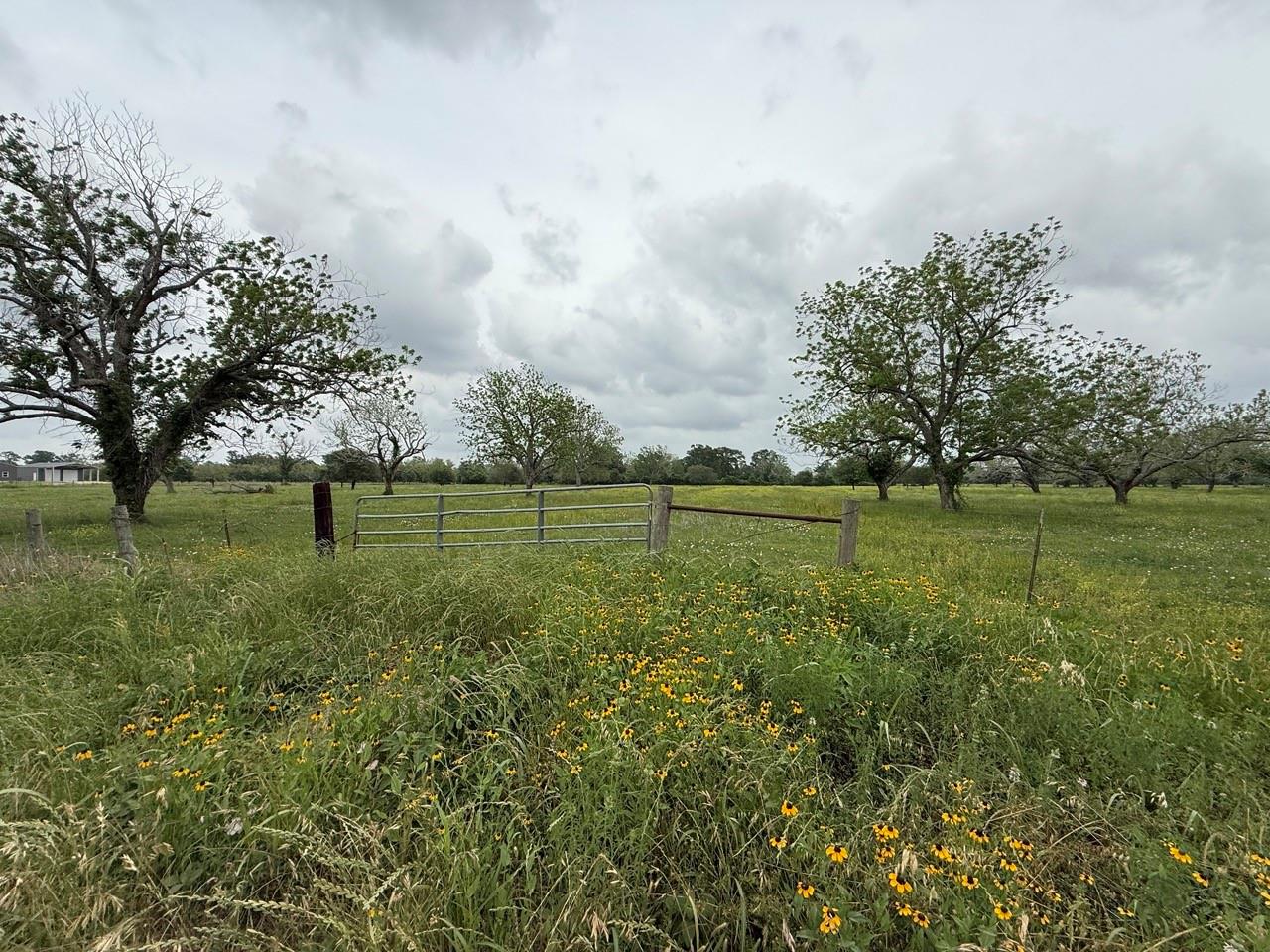 Farm in Wharton 4