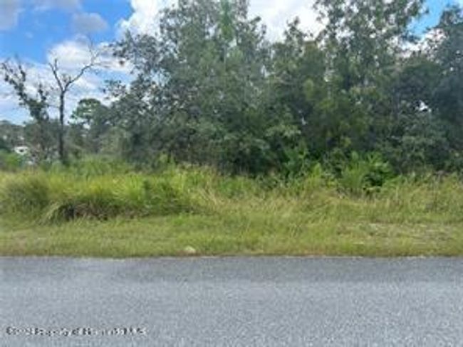 13035 House Finch Rd, Home with 0 bedrooms, 0 bathrooms and null parking in WEEKI WACHEE FL | Image 5