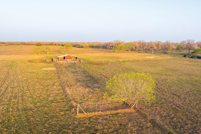 View of nature | Image 31