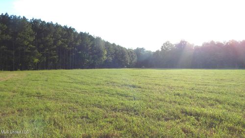 504 County Road 247, Bruce, MS, 38915 | Card Image