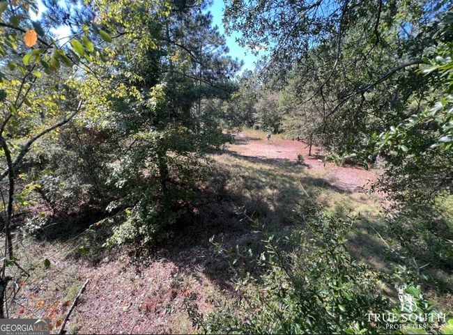 0 John S Horton Rd, Home with 0 bedrooms, 0 bathrooms and null parking in Adrian GA | Image 13