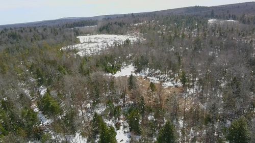 TBD Trafton Road, Parkman, ME, 04443 | Card Image
