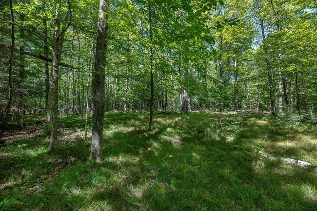 Lot 2 E Amber Lake Rd, Home with 0 bedrooms, 0 bathrooms and null parking in Lac du Flambeau WI | Image 14