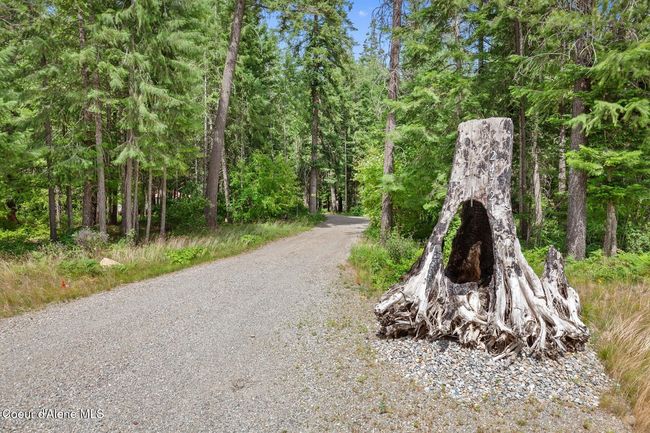 South Driveway Entrance for looped driveway | Image 37